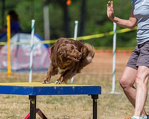 20160619-CCKC-1326.jpg