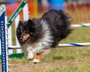 20180617-1443.jpg