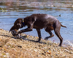 20221009-PWW-0017.jpg