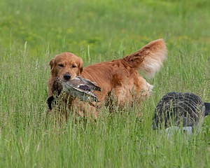 20080531-HRL-0050.jpg