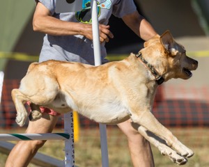 20160618-CCKC-2475.jpg