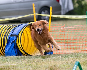 20150612-CCKC-0058.jpg