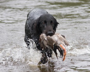 20080531-HRW-0883.jpg