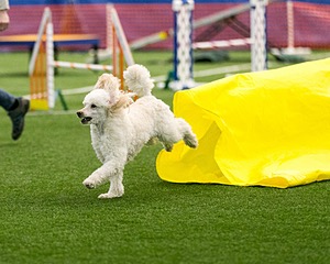 20150322-LEAP-0269.jpg