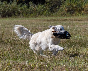 Piper Lanagan