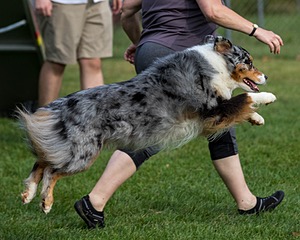 20200819-0210.jpg