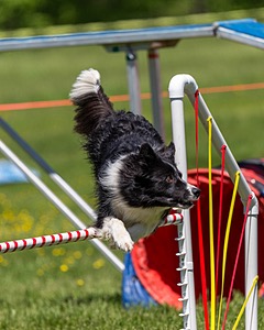 20170520-NEAT-1145.jpg