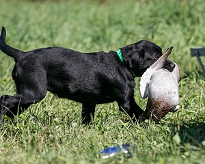 20150912-C-0019.jpg