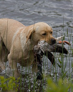 20080531-HRW-0373.jpg