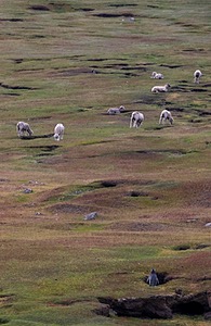 20191211-0479.jpg