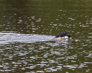 20210912-WWD-0546.jpg