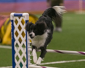 20150321-LEAP-0349.jpg