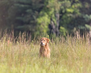20210807-SHL-0141.jpg