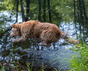 20170716-WCXW-1059.jpg
