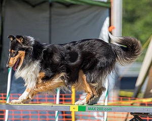 20160618-CCKC-2420.jpg