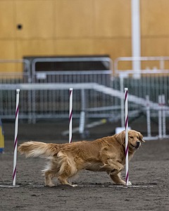 Pup-Pup Beaulieu