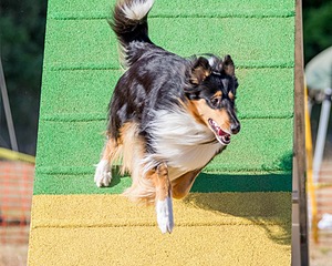 20160618-CCKC-2426.jpg