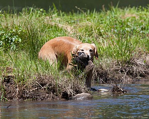 20130602-SEAW-0463.jpg