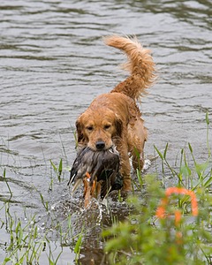 20080531-HRW-0314.jpg