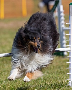 20180616-0289.jpg