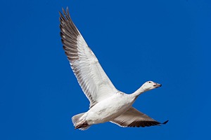 20151206-3202.jpg