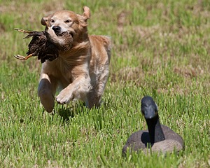 20130602-SEAL-0249.jpg