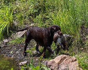 20160717-WCW-0015.jpg
