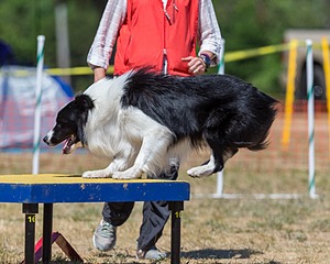 20160619-CCKC-1340.jpg
