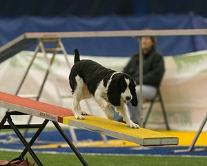 20150321-LEAP-0807.jpg