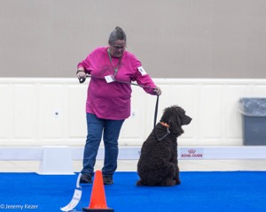 R10 - BALLYHOO'S V FINNEGAN MCNEILL BN FDC CA BCAT DS DJ CGCA TKN VHMA
