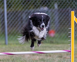 20200819-1891.jpg