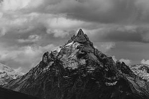 20260327-0166.jpg