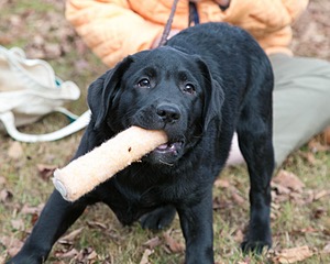 20131027-C-0021.jpg