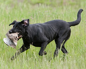 20080531-HRL-0216.jpg