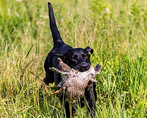 20170716-WCXL-0165.jpg