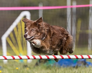 20160514-NEAT-0124.jpg