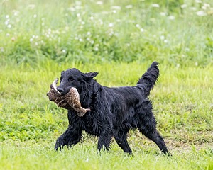 Cash Ogeka