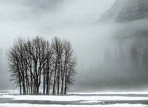 Yosemite National Park