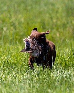 20240720-MH1-0614.jpg