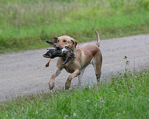 20130713-MHB2-0333.jpg
