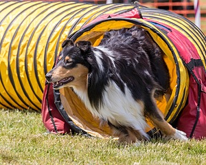 20180616-0732.jpg