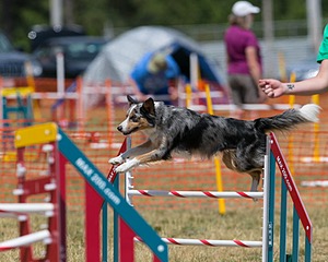 20150614-CCKC-1764.jpg