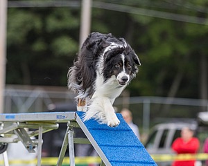 20230916-PVKC-0315.jpg