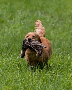 20170603-SHRL-0059.jpg