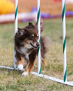 20150614-CCKC-0075.jpg
