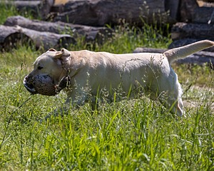 20210606-SEAL-1502.jpg