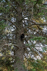 20180708-1094.jpg