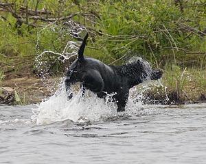 20080531-HRW-0850.jpg