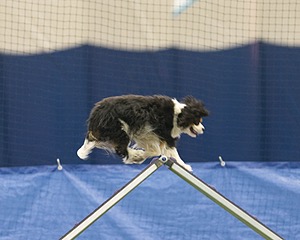 20150321-LEAP-1723.jpg