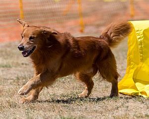 20160619-CCKC-1380.jpg